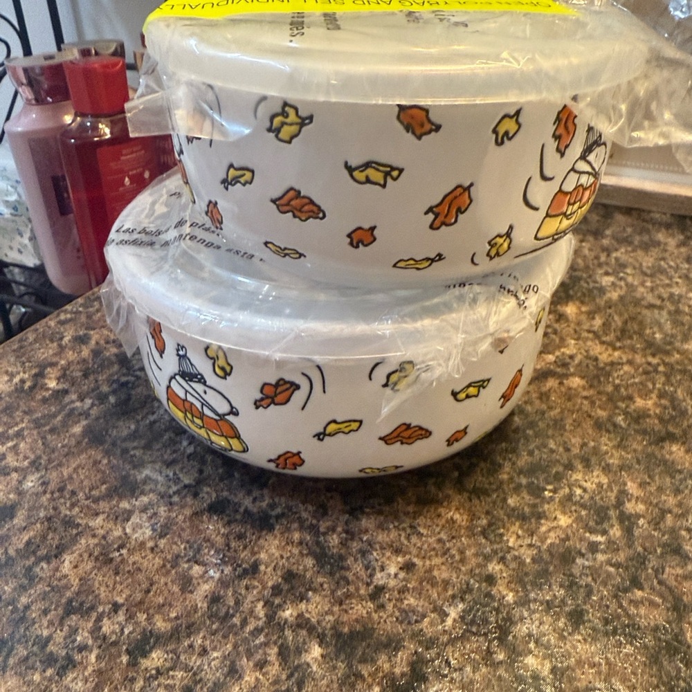 Peanuts fall bowl set